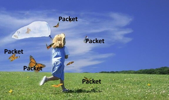 ERSPAN to Wireshark -- and How to Fix if Not Working